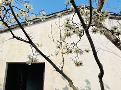 -艺圃