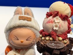 -哈根达斯(大洋百货店)