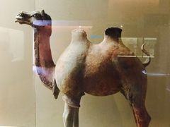 -敦煌市博物馆