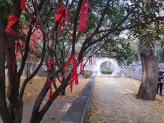 -青岛崂山太清宫