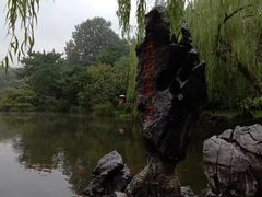 -西湖外事游船(花港观鱼码头)