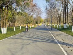 -东湖落雁景区