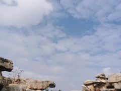 -九龙湖公园