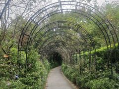 -福建鲤鱼洲酒店