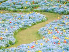 -上海辰山植物园