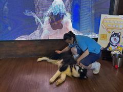 -正佳雨林生态植物园