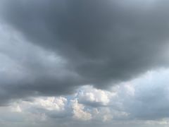 -上海佘山国家森林公园西佘山园