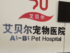 -艾贝尔宠物医院 ·内科全科(梁溪路店)