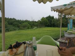 -桤木河湿地公园