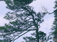 -明月山风景名胜区
