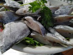 -马帮寨院坝火锅(龙港公园店)
