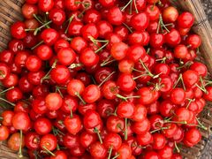 -樱桃山旅游景区