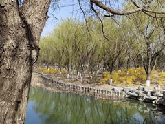 -大兴滨河森林公园