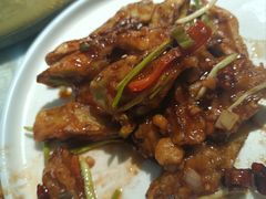 -华盛园卷子王农家菜水库鱼