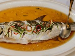 -老洋房花园饭店(绍兴路店)