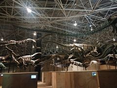 -世界恐龙谷景区