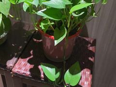 -庆赫隆融合菜馆(群力店)