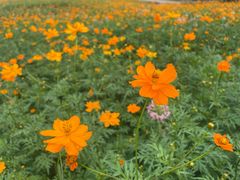 -欢乐迪KTV(观音桥未来国际店)