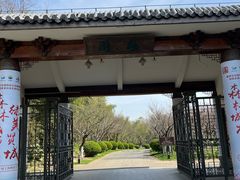 -上海海湾国家森林公园