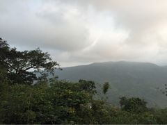 亚龙湾人间天堂-鸟巢度假村-三亚亚龙湾人间天堂鸟巢度假村