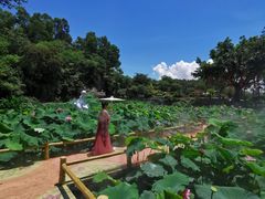 -广州莲花山旅游区