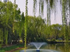 -城市运动公园(未央区)