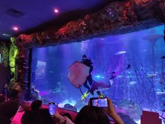 -沈阳海洋探索中心