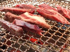 黑牛肋条-九田家黑牛烤肉料理(太阳城店)