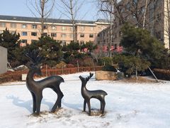 -大连人民广场