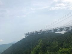 -呀诺达热带雨林