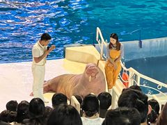 -泉城欧乐堡海洋极地世界