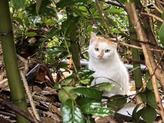 -敬亭山风景名胜区