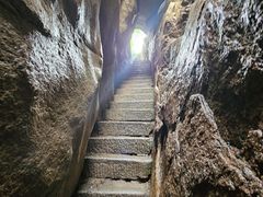 -鲁山国家森林公园