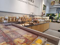 -皇冠幸福里动物奶油生日蛋糕(中山大道二中店)