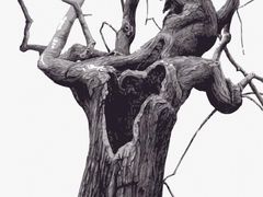 -阿五黄河大鲤鱼(纬三路店)