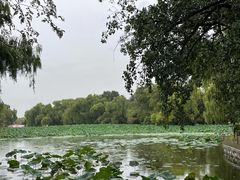 -北陵公园
