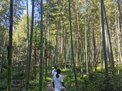 -黄公望隐居地