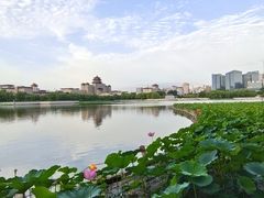 -莲花池公园