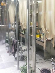 -MAGIC米几发型设计·羊毛卷