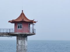 -小麦岛公园