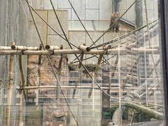 -石排湾郊野公园