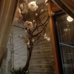 -米莱 Hair Salon 美髮
