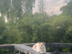 -西湖天地