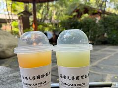 -西安国际创新人才交流中心•药浴温泉