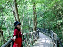 -龙湾潭国家森林公园