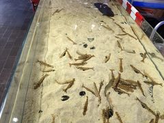 -十六蒲(桂林路店)