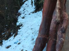-少华山国家森林公园