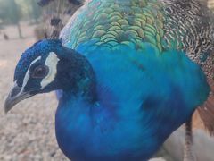 -南京金牛湖风景区