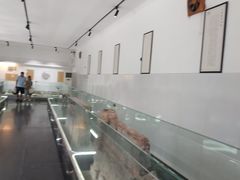 -赵州桥景区