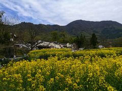 -塔川景区